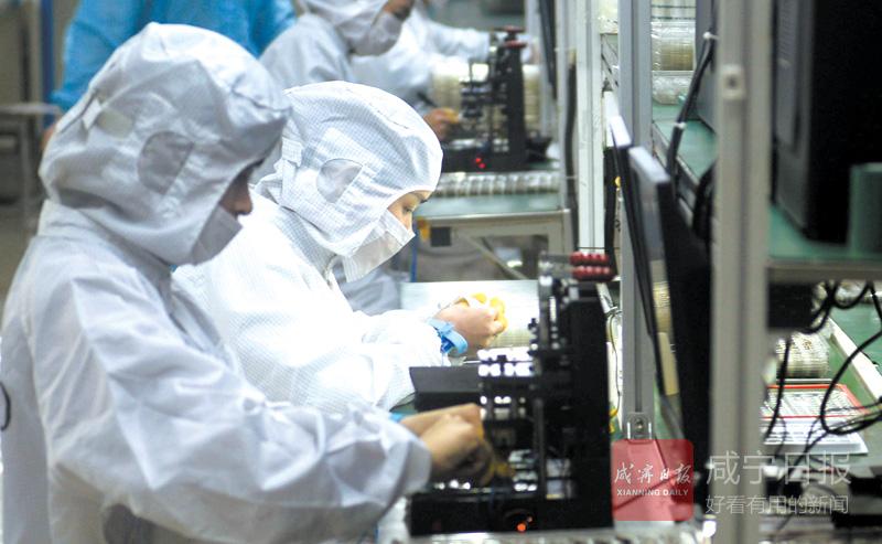 13日,湖北三赢兴智能光电科技员工在精心生产指纹模组产品.